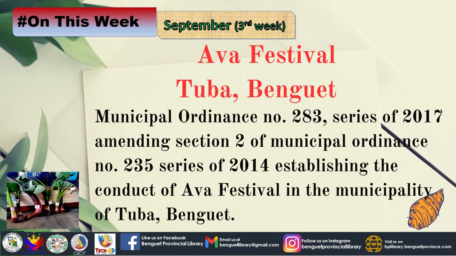 Ava-festival-1-1.jpg