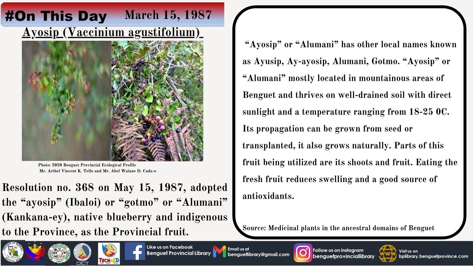Ayosip-March-15-1.jpg