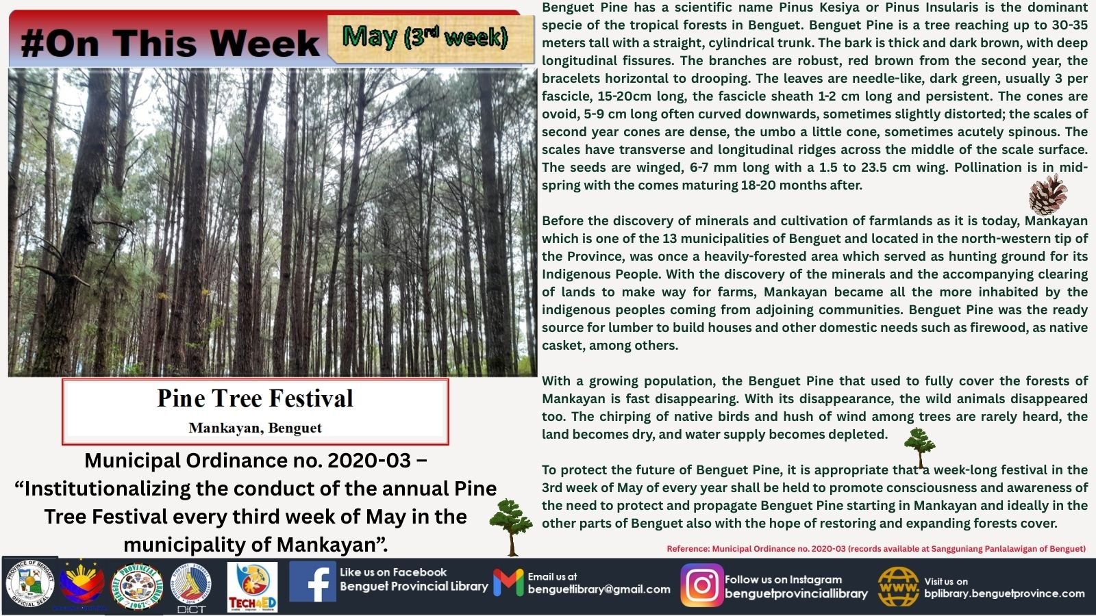 Mankayan-pine-tree-festival-3rd-week-1.jpg